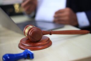 Wildlife Defense Attorney