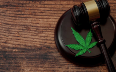 What’s the Difference Between a Misdemeanor and a Felony?