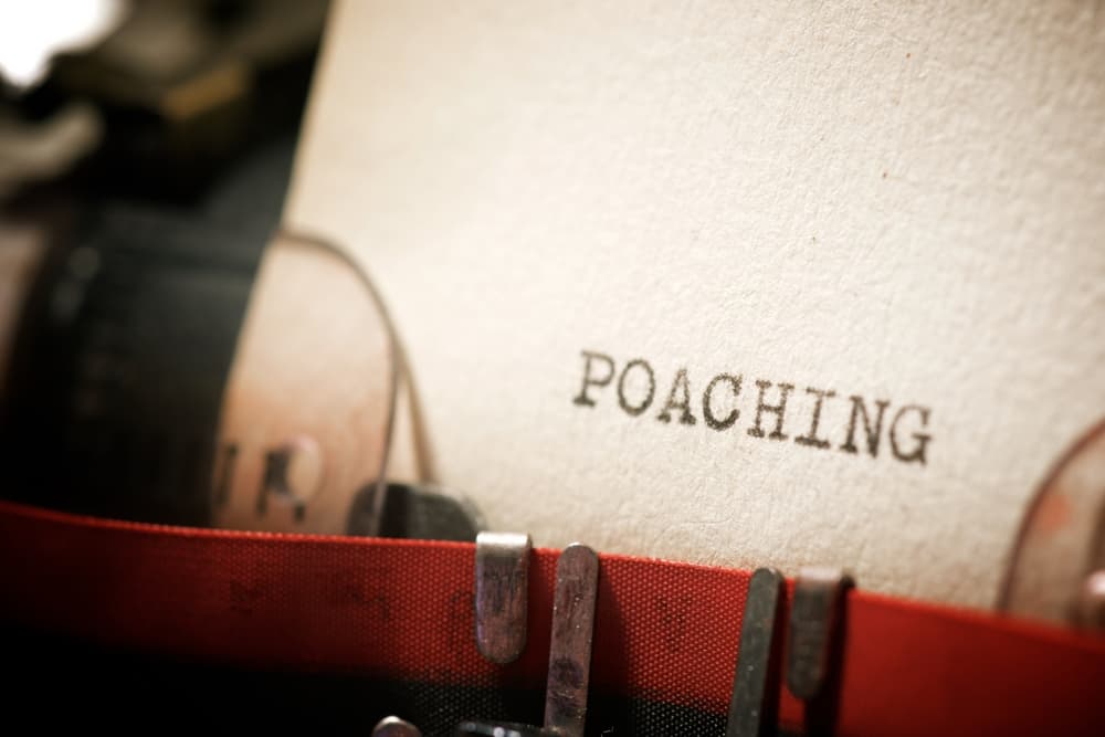 What is the Penalty for Poaching in Colorado?